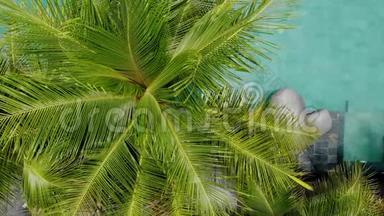 鸟瞰绿色棕榈树和绿松石豪华无限游泳池在热带。 游泳池。 旅行假期